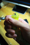 IMG_1023s