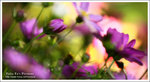 2010_03_22Hs08t