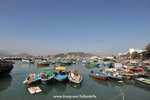 DSC_0010_007