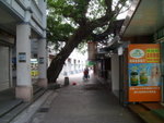 SL275043