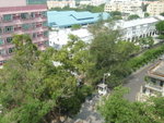 SL275750