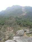 IMG_0037