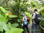 IMGP0012