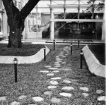 Pentacon 6TL + CZJ Sonnar 80/2,8 MC + �ֳ� 100 SHD @ Kowloon Park