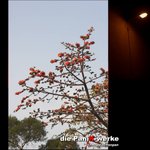 ����
