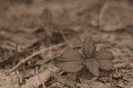 IMG_5096-01bw