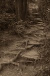 IMG_5146-01bw