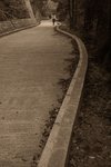 IMG_5158-01bw
