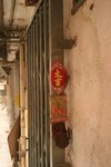 IMG_3135