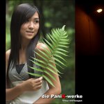 nEO_IMG_IMG_9295-01
