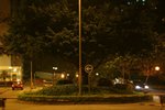 IMG_4251