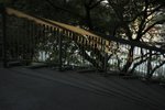 IMG_5588-01
