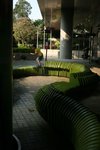 IMG_4227