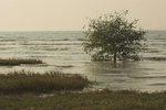 IMG_5974-01