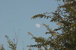 IMG_5978-01