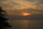 IMG_6004-01
