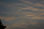 IMG_6011-01
