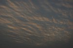 IMG_6014-01