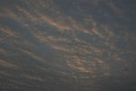 IMG_6021-01