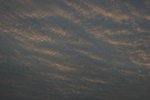 IMG_6022-01