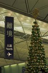 IMG_5276-03