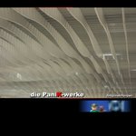 nEO_IMG_IMG_8334-01