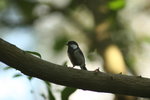 IMG_4580