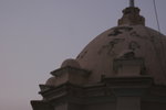 IMG_4709