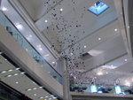DSCF0080