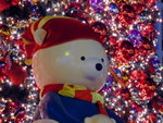 DSCF0097