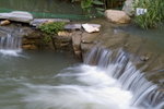 PICT3522