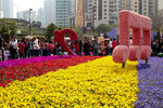 FS2011_01