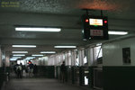 IMG_8515