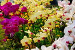 0 (40)