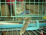 �f�f����10��bb, jj