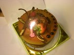 DSCN1234