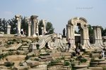 IMG_0838ie1-