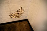 IMG_3455e1-