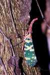 IMG_0677e1-