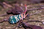 IMG_0680e1-