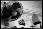 DSC03169