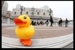 IMG_0227