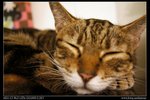 DSC00746