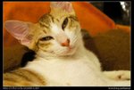 DSC00755