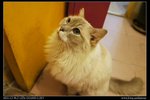 DSC00763