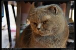 DSC00777