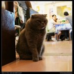 DSC00781