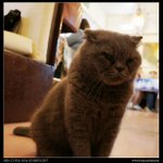 DSC00785