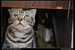 DSC00792