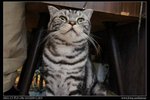 DSC00795